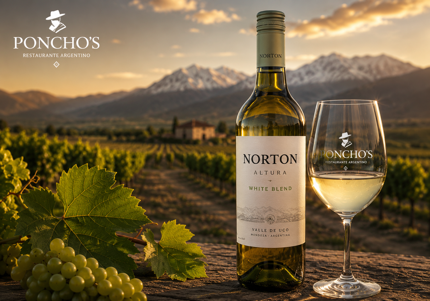 Norton Altura White Blend en Restaurante Poncho's